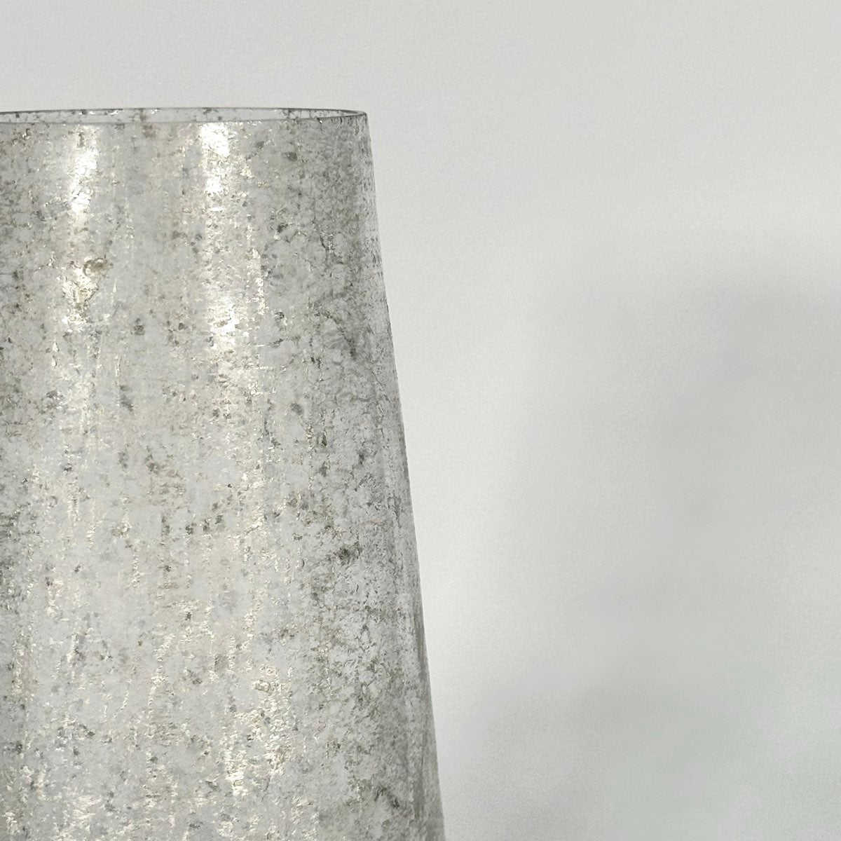 Frosted Echo Glass Vase