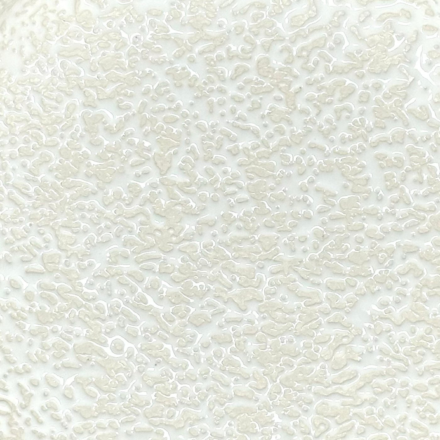 Moltra White Bowl