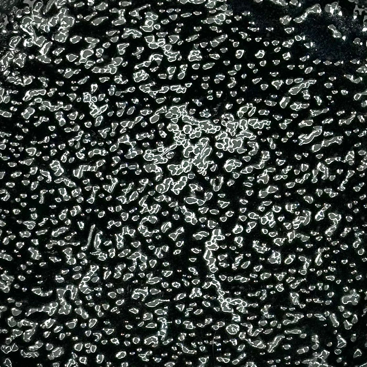 Moltra Black Bowl